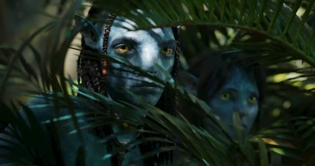 James Cameron Says He May Not Direct ‘Avatar’ 4 & 5