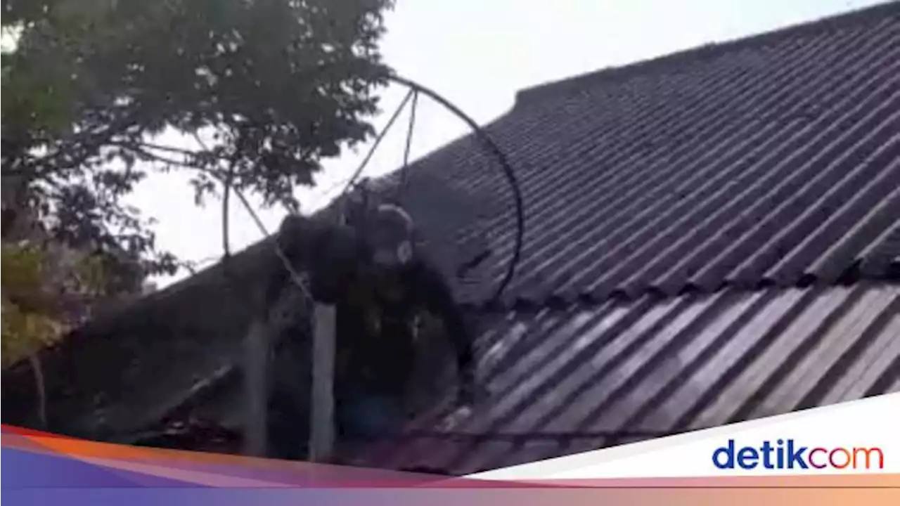 Viral Paramotor Mendarat di Atap SMA Kota Batu gegara Terhempas Angin Kencang