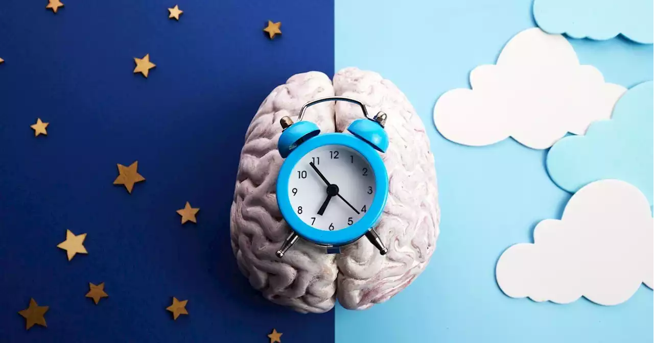 Your body has an internal clock that dictates when you eat, sleep and might have a heart attack – all based on time of day