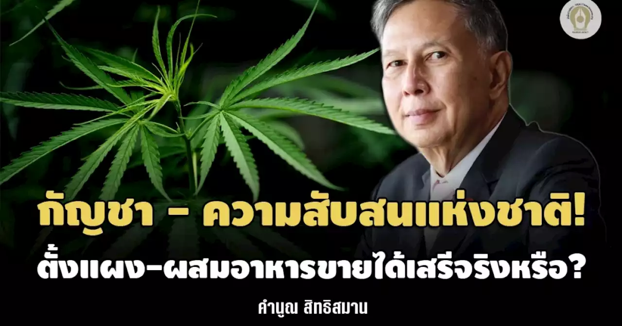 กัญชา - ความสับสนแห่งชาติ! ตั้งแผง-ผสมอาหารขายได้เสรีจริงหรือ?