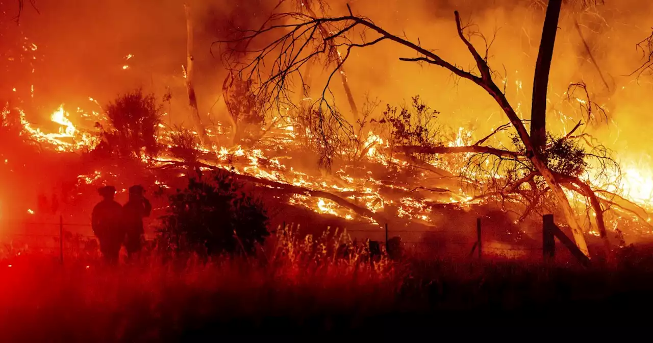 California forest fire temporarily strands July 4th revelers