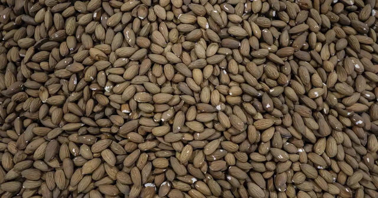 A billion pounds of California almonds stranded at ports amid drought, trade woes