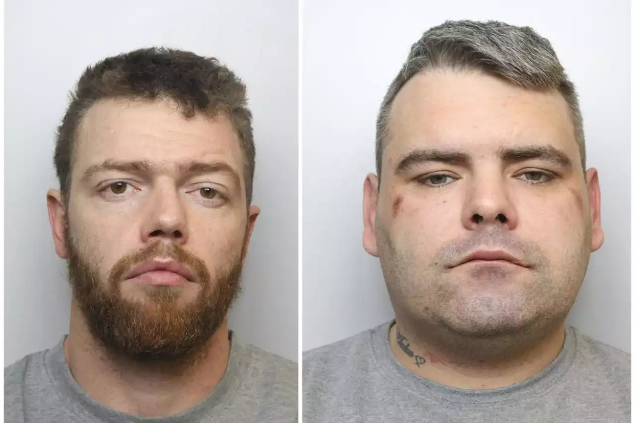 Burglars held tropical plant enthusiasts hostage after thinking they were growing cannabis