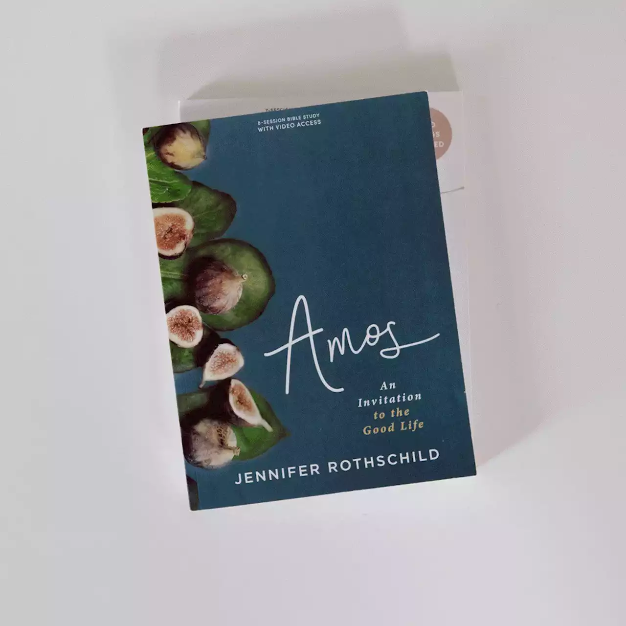 Lifeway Women Recommends | 10 Bible Studies For Fall - Lifeway Women