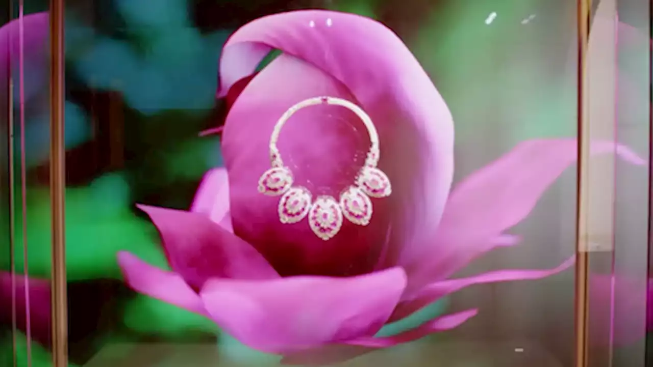 Cartier searches for beauty of the world with high jewelry launch