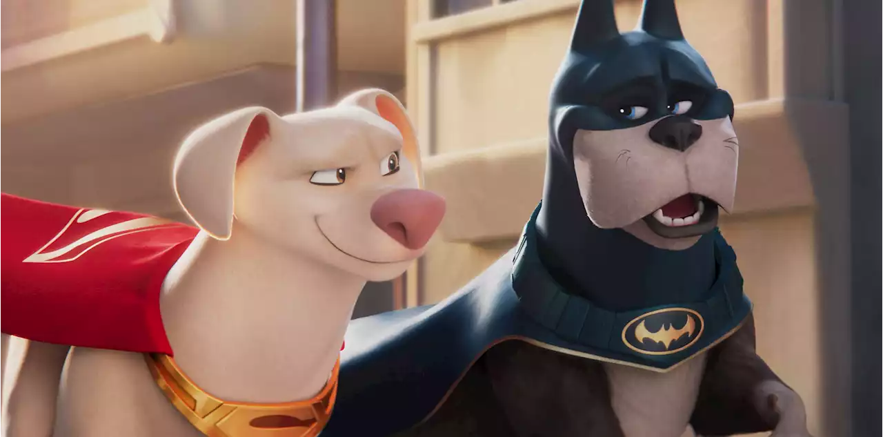 Meet Ace The Hound in 'DC League of Super-Pets'