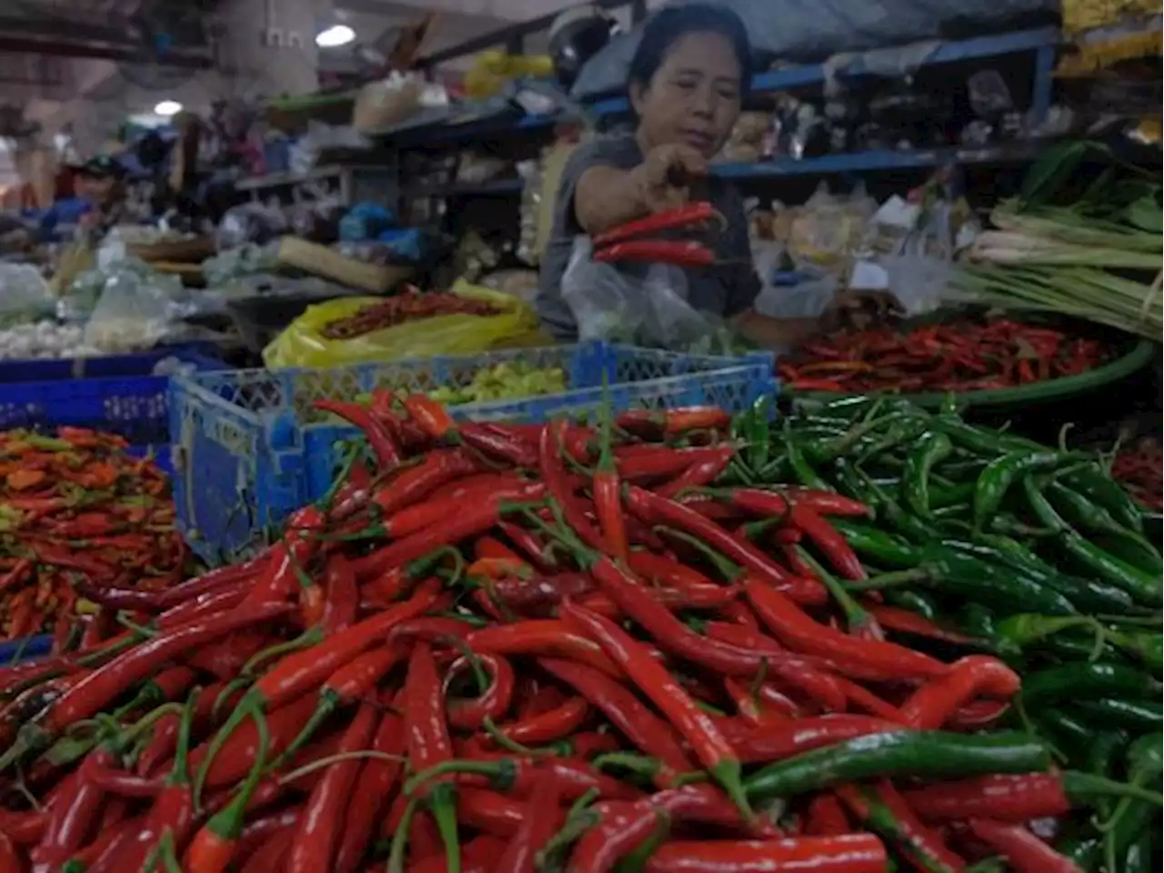 Harga Cabai masih Mahal, Giliran Bawang Merah Melejit