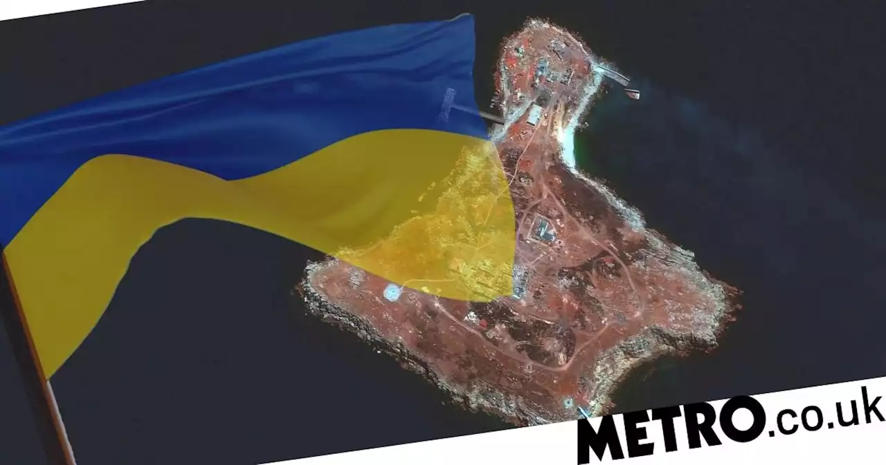 Ukraine raises flag on Snake Island once again after Russian retreat