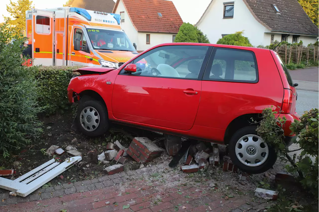 Weil ein Wespenstich juckte: Frau fährt 400 Meter in Gegenverkehr