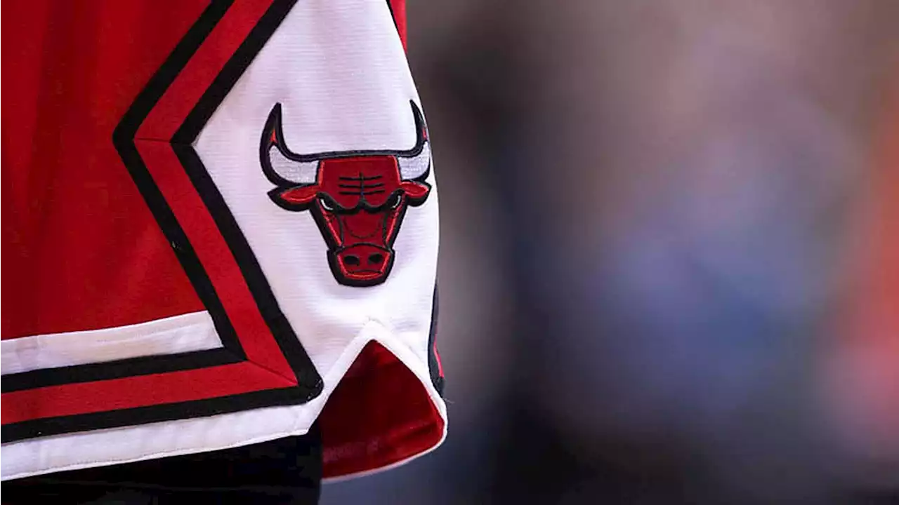 Bulls Issue Statement on Highland Park Mass Shooting