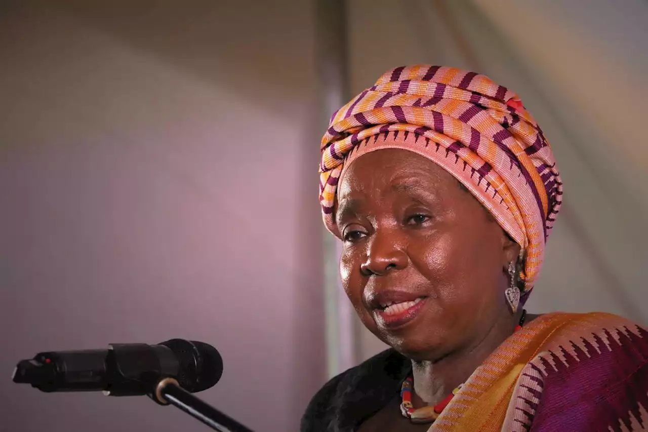 Dlamini-Zuma proposes skills exchange between municipalities to aid poor-performing councils | News24