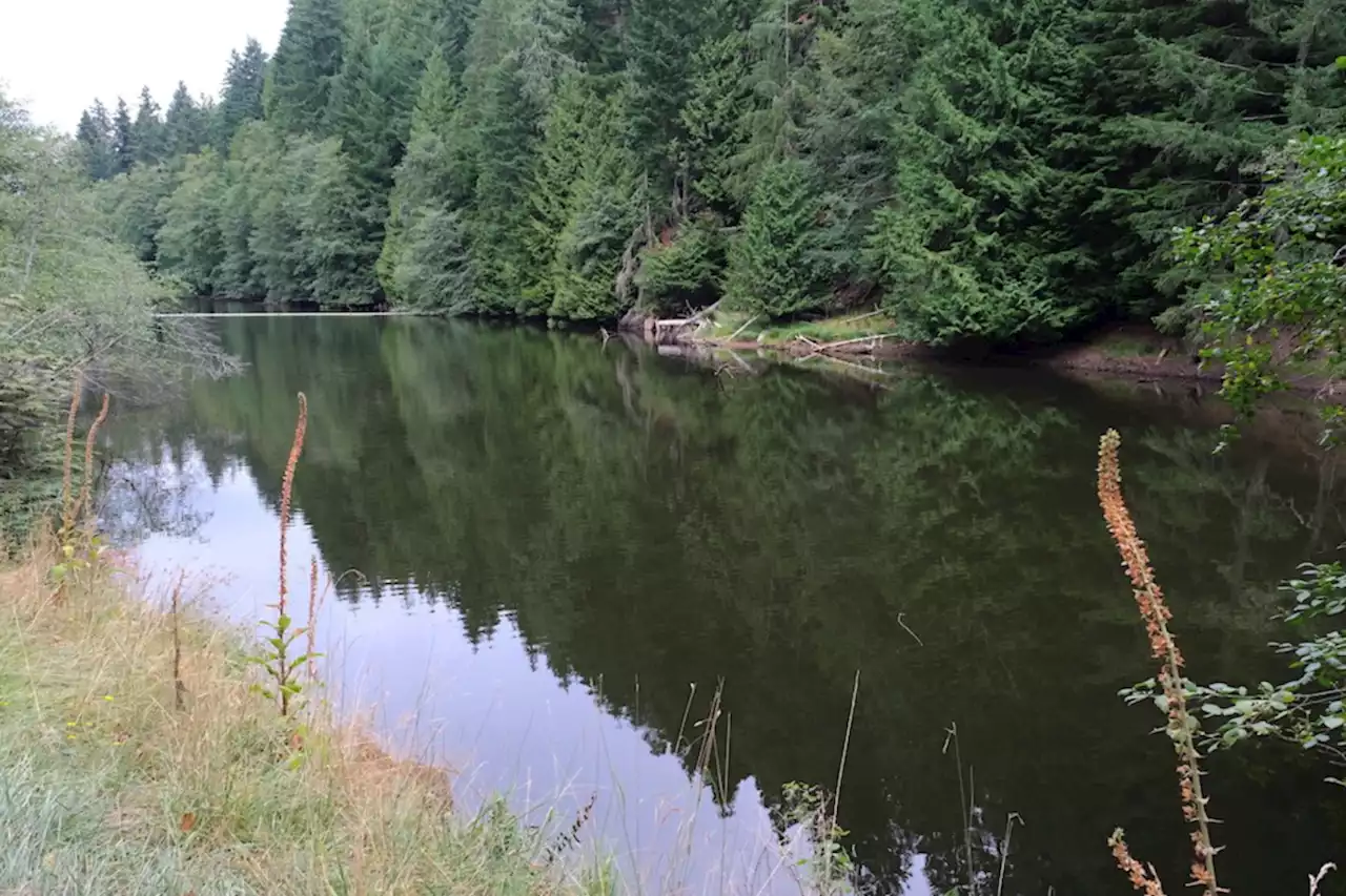 New land trust creates a rare climate zone ‘backbone’ that stretches Saturna Island