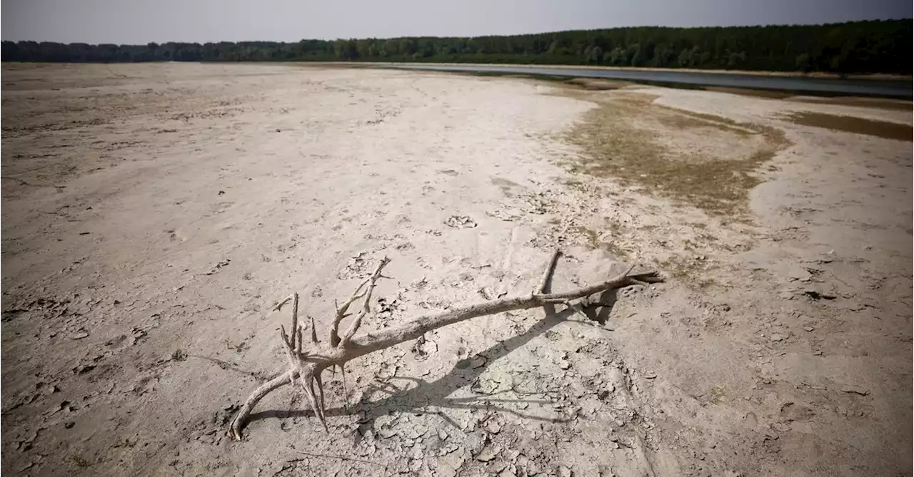 Italy declares state of emergency for drought-stricken north