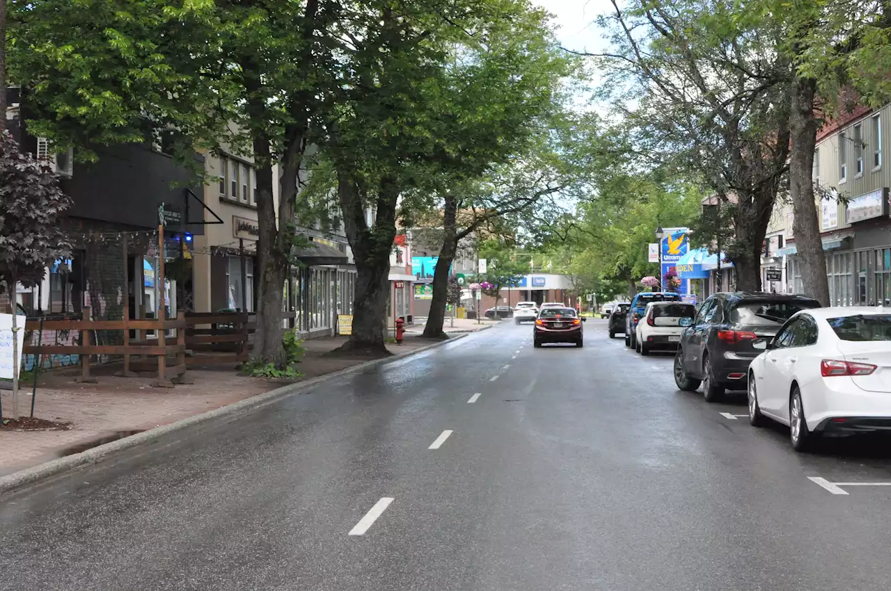 Should Corner Brook open its own pedestrian mall? Some residents, businesses want to replicate the successful St. John's model on west coast | SaltWire