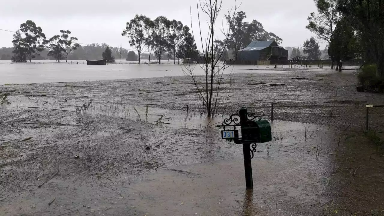 Major flood risk remains in NSW with more rain forecast