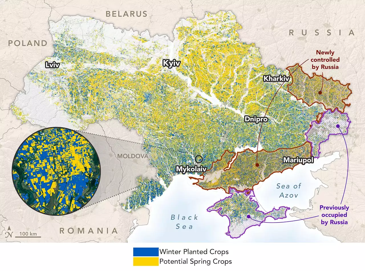 Russia-Ukraine Conflict: Measuring War’s Effect on a Global Breadbasket