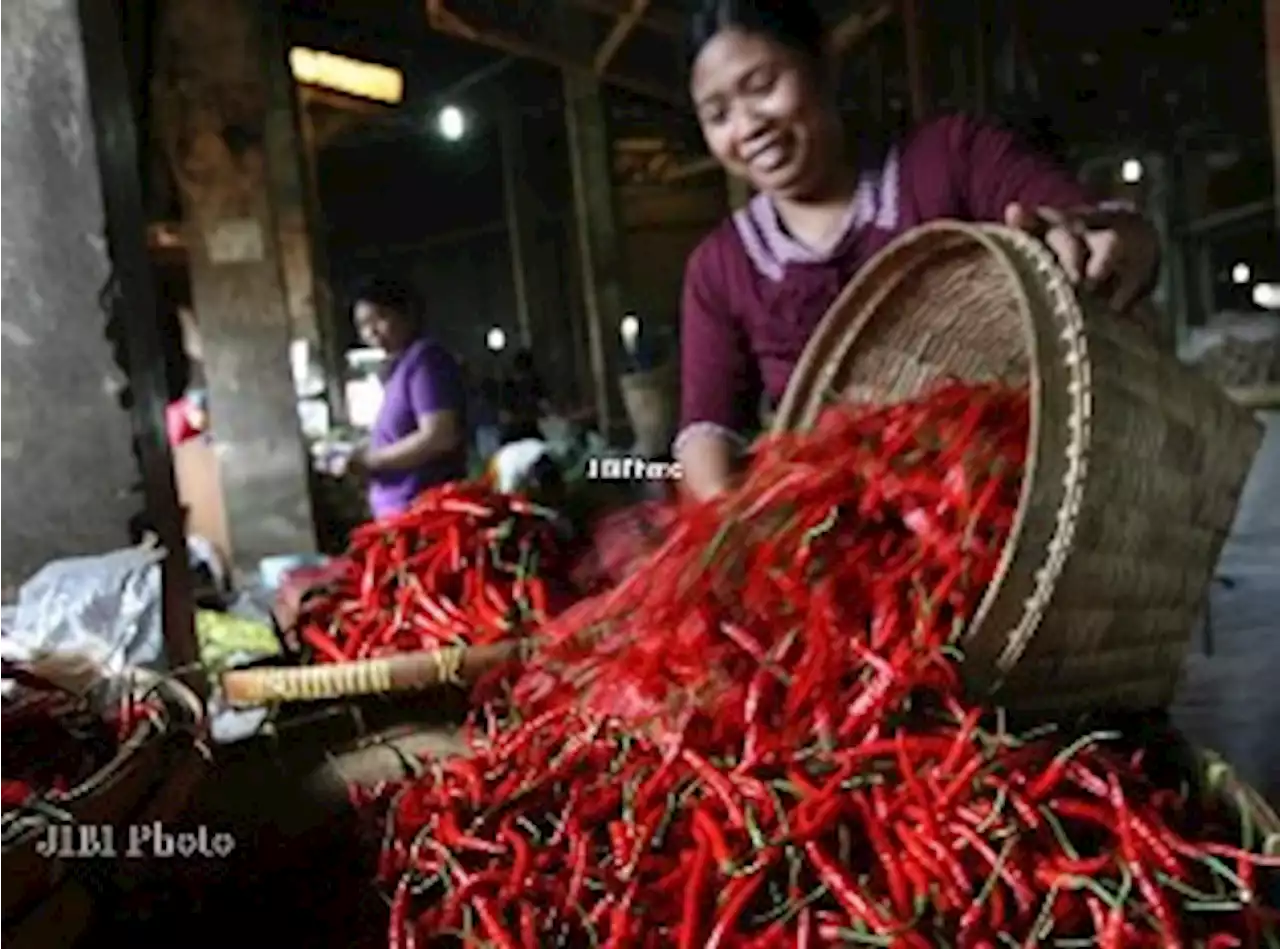 Duh, Harga Cabai Merah Nyaris Tembus Rp100.000 Per Kilogram Di Jakarta