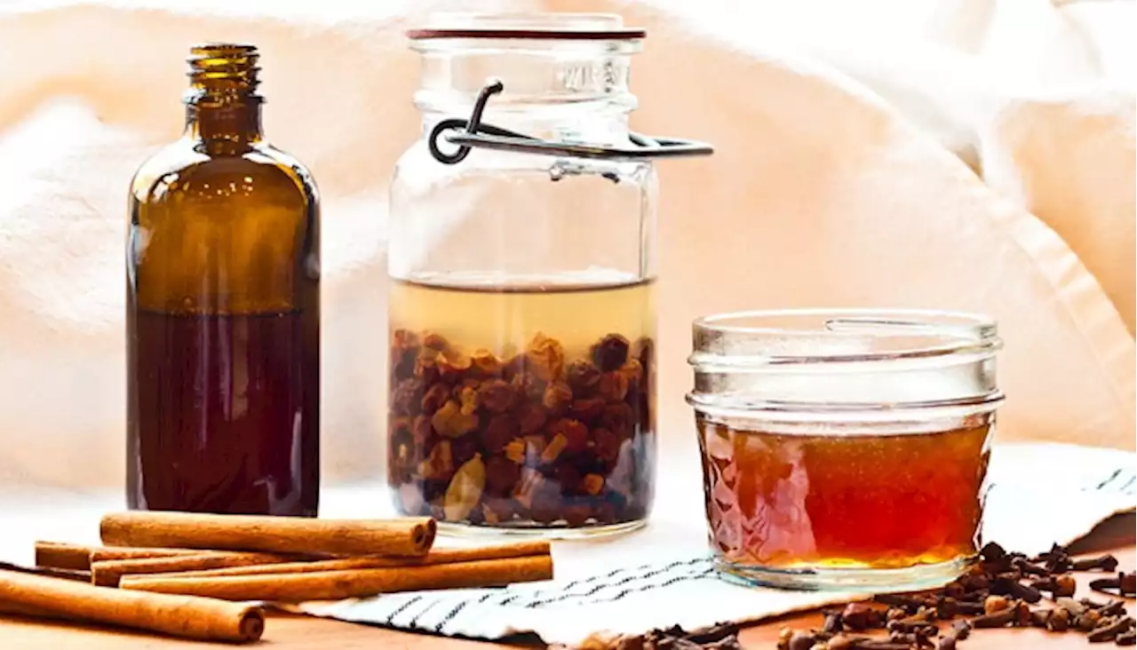 Cara Mengatasi Sakit Gigi Geraham Menggunakan Obat Herbal dengan Cengkeh dan Lidah Buaya