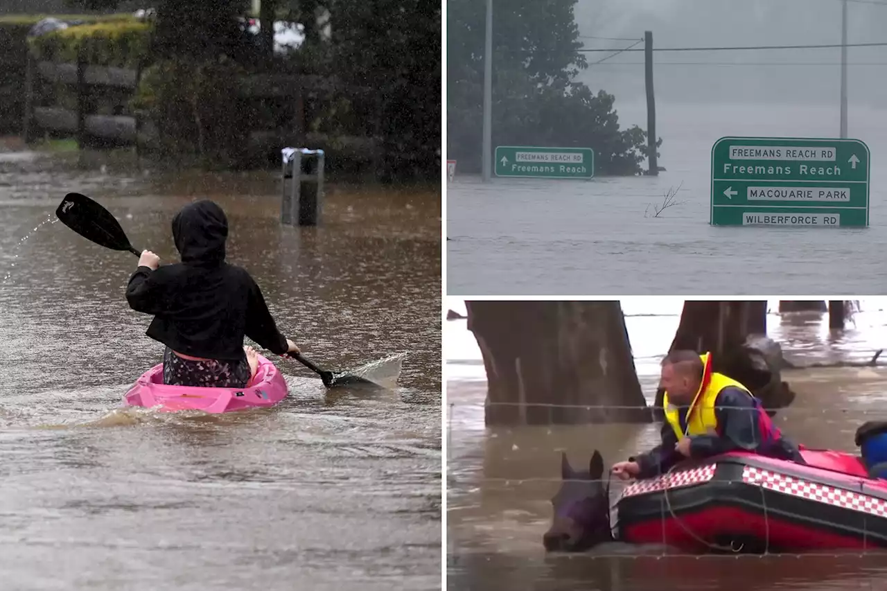 Oz floods send 50k fleeing YEAR'S worth of rain as horses swim up to their necks