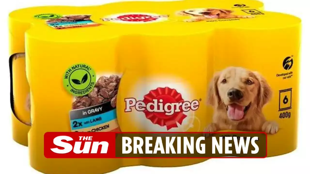 Pet food including Whiskas, Dreamies and Pedigree AXED from Tesco