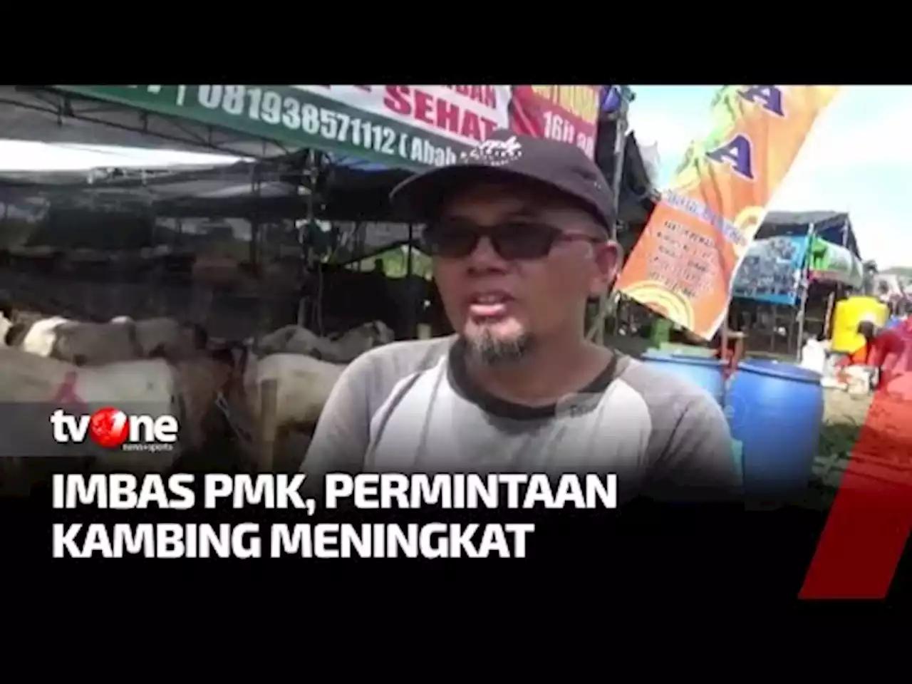 Wabah PMK Menyerang Sapi, Permintaan Kambing Meningkat - tvOne