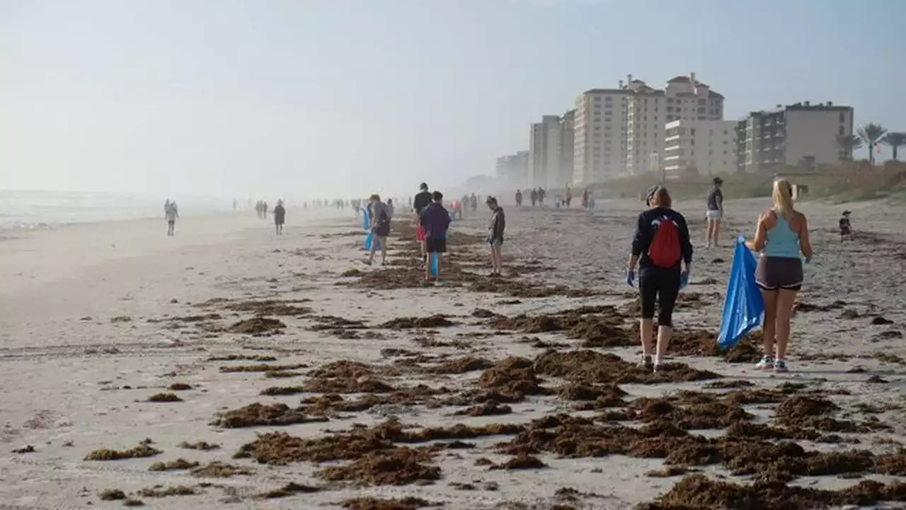 Volunteers needed for Duval County beaches clean up after July 4th