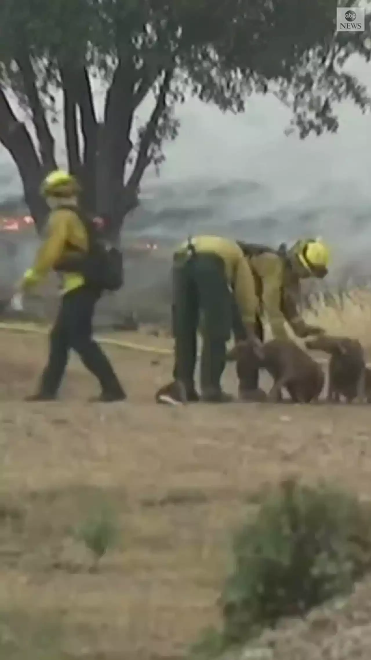 California forest fire temporarily strands July 4th revelers