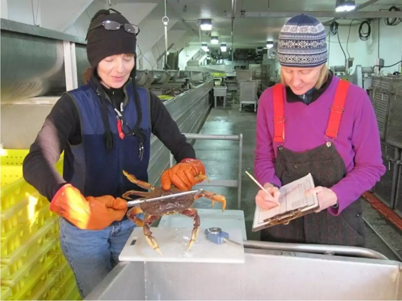 Southeast’s Dungeness crab fishery to close early after slow start - Alaska Public Media