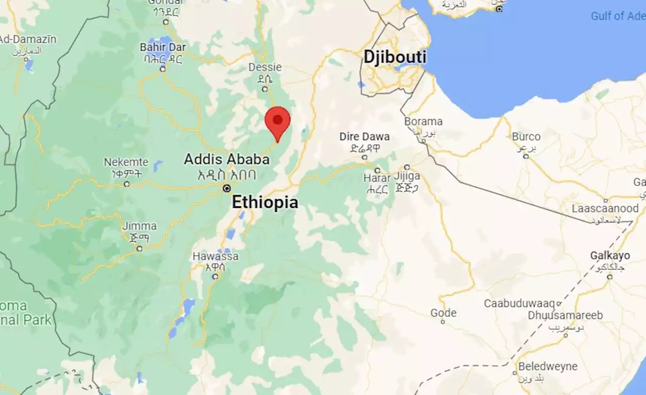 Ethiopia: Analysis - Security Forces Open Fire On Protesting Crowd in Shewa Robit, Killing and Injuring Many