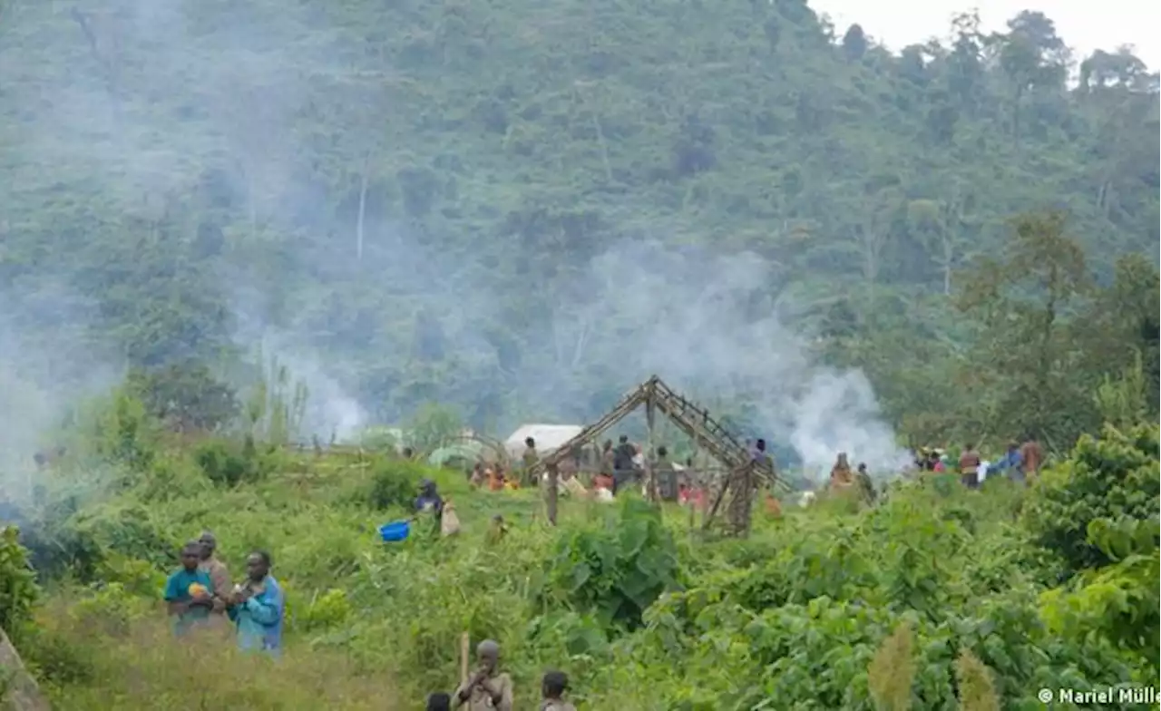 Congo-Kinshasa: Will France Fund Wildlife Park Where Alleged Batwa Atrocities Were Committed?