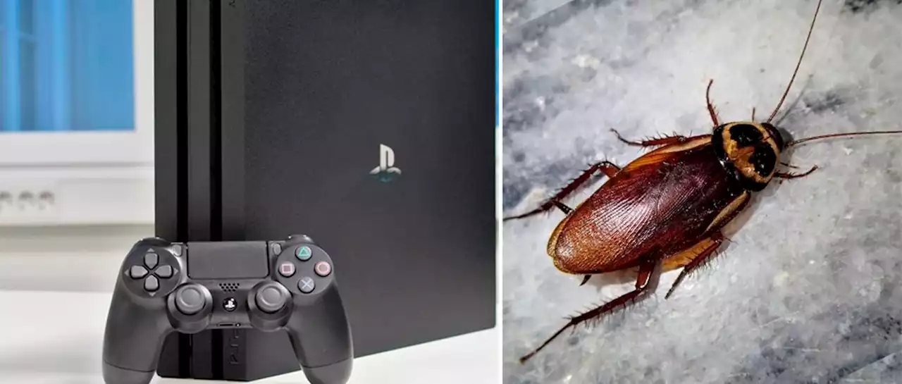 Encuentran nido de cucarachas en un PlayStation 4