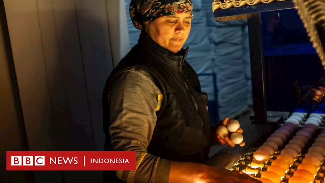 Inflasi di Turki meroket sampai 78%, WNI gulung tikar dan dikenakan harga lebih tinggi ketimbang warga lokal - BBC News Indonesia