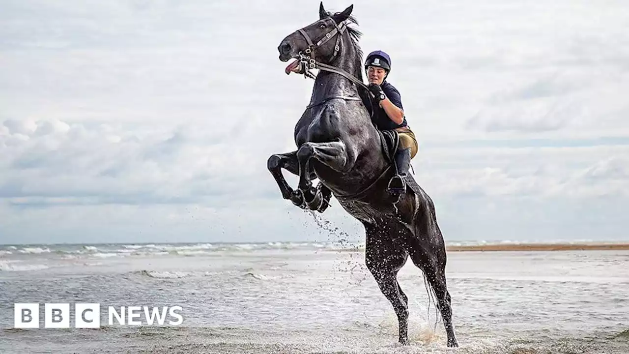 Household Cavalry take summer camp beach ride