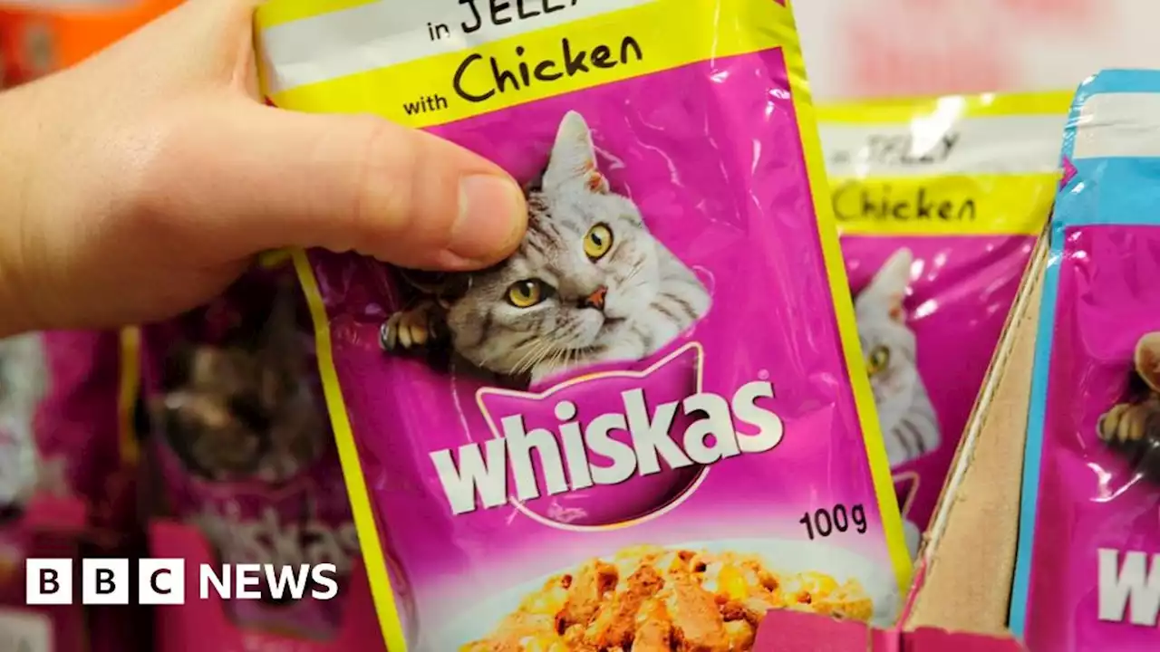 Whiskas pet food off Tesco shelves after price row