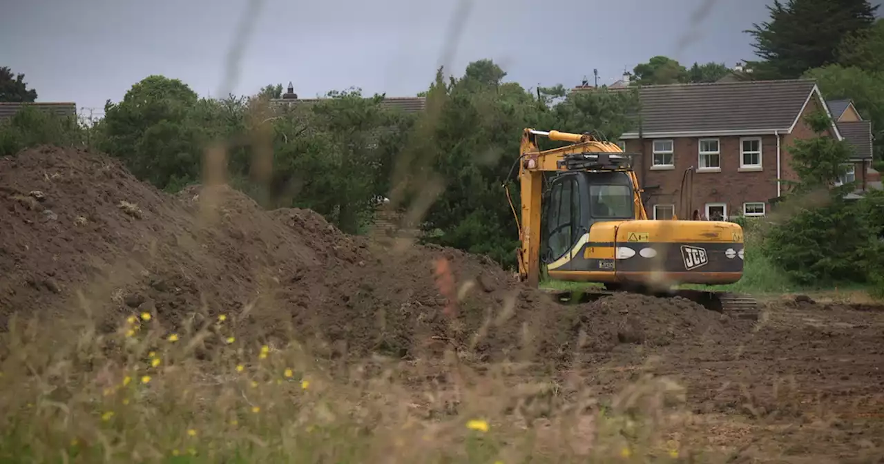 Diggers tear up wildflowers at church given £100,000 for pollinator garden