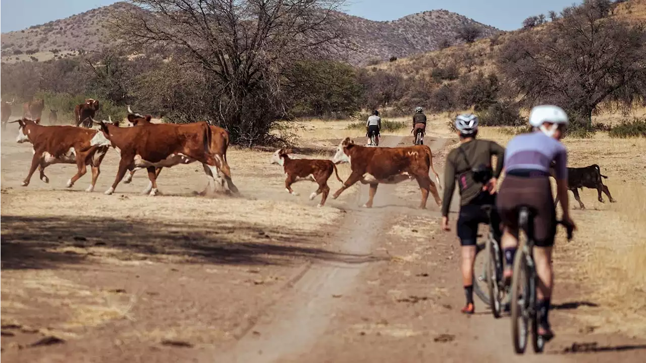 Watch the Focus Bikes team explore Texas gravel