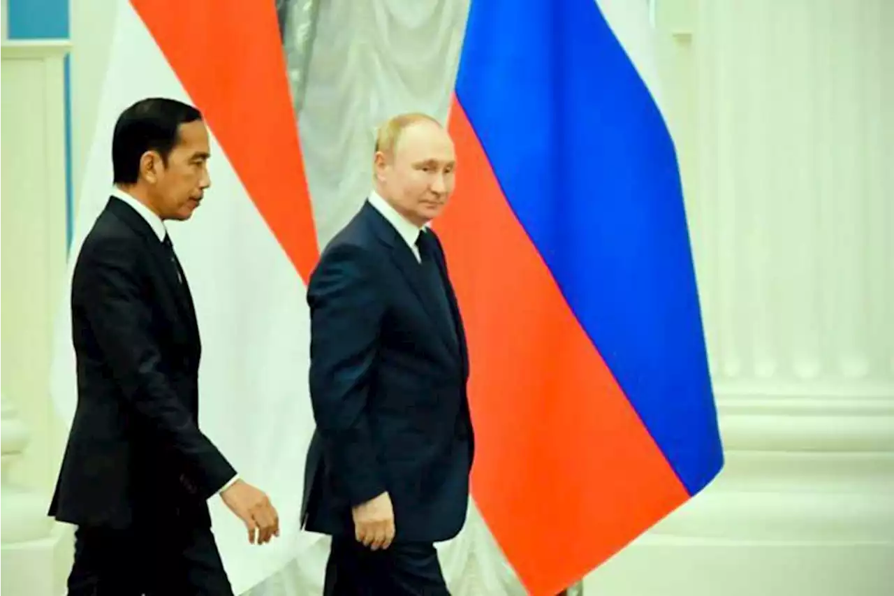 Putin Tawarkan Russian Railways di Proyek IKN, Ini Respons Kemenhub | Ekonomi - Bisnis.com