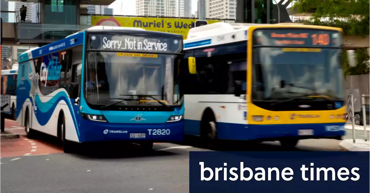 TransLink cuts bus services as flu, COVID compound driver shortage
