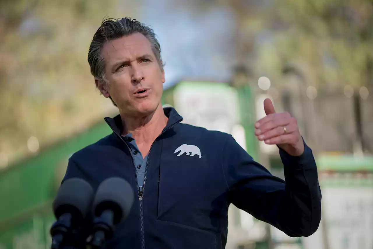 Newsom finally reveals his whereabouts