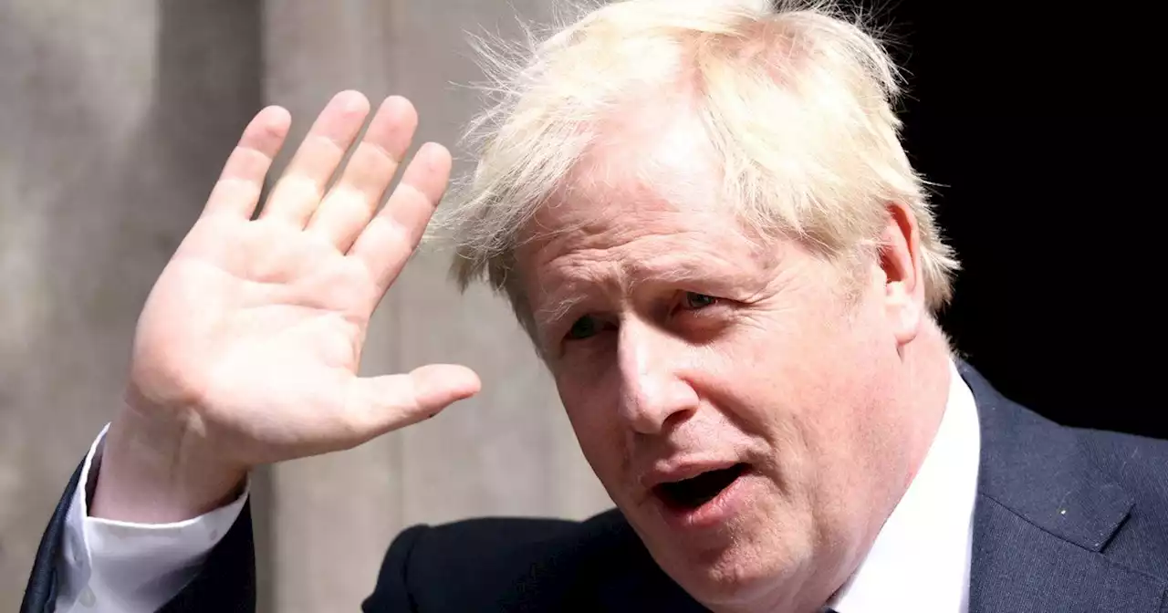 Crisis en Gran Bretaña: por ahora, Boris Johnson no renuncia, quiere disolver el Parlamento y convocar a nuevas elecciones