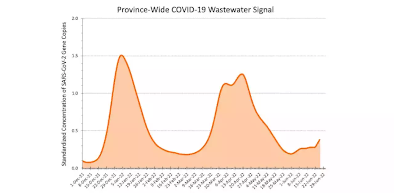 Ontario in seventh COVID-19 wave, driven by BA.5 subvariant: science table