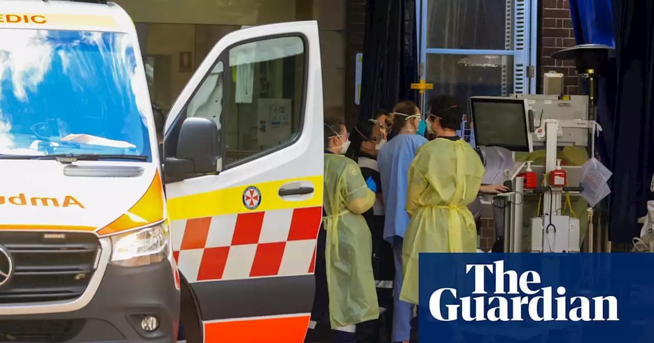 Extra 3,000 deaths in Australia in first two months of 2022 due to Covid, report says