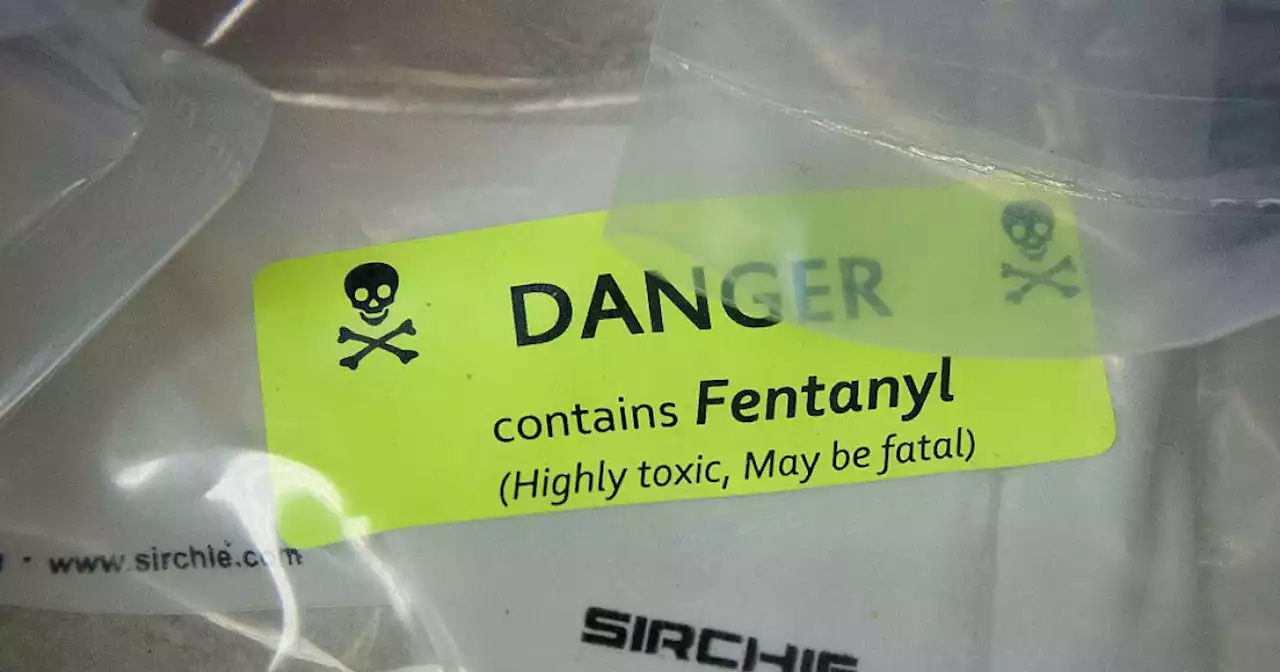 Officials: Nine fatal drug overdoses in rural Florida county