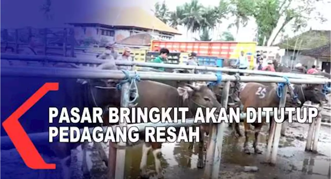 Pasar Beringkit Akan Ditutup, Pedagang Sapi Resah