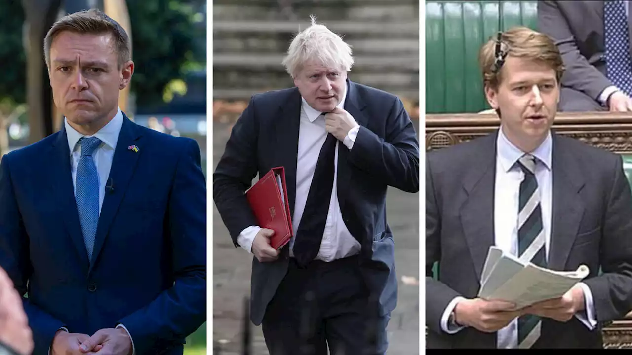 Exodus from Government as 15 MP's resign amid warning PM may take 'govt down with him'