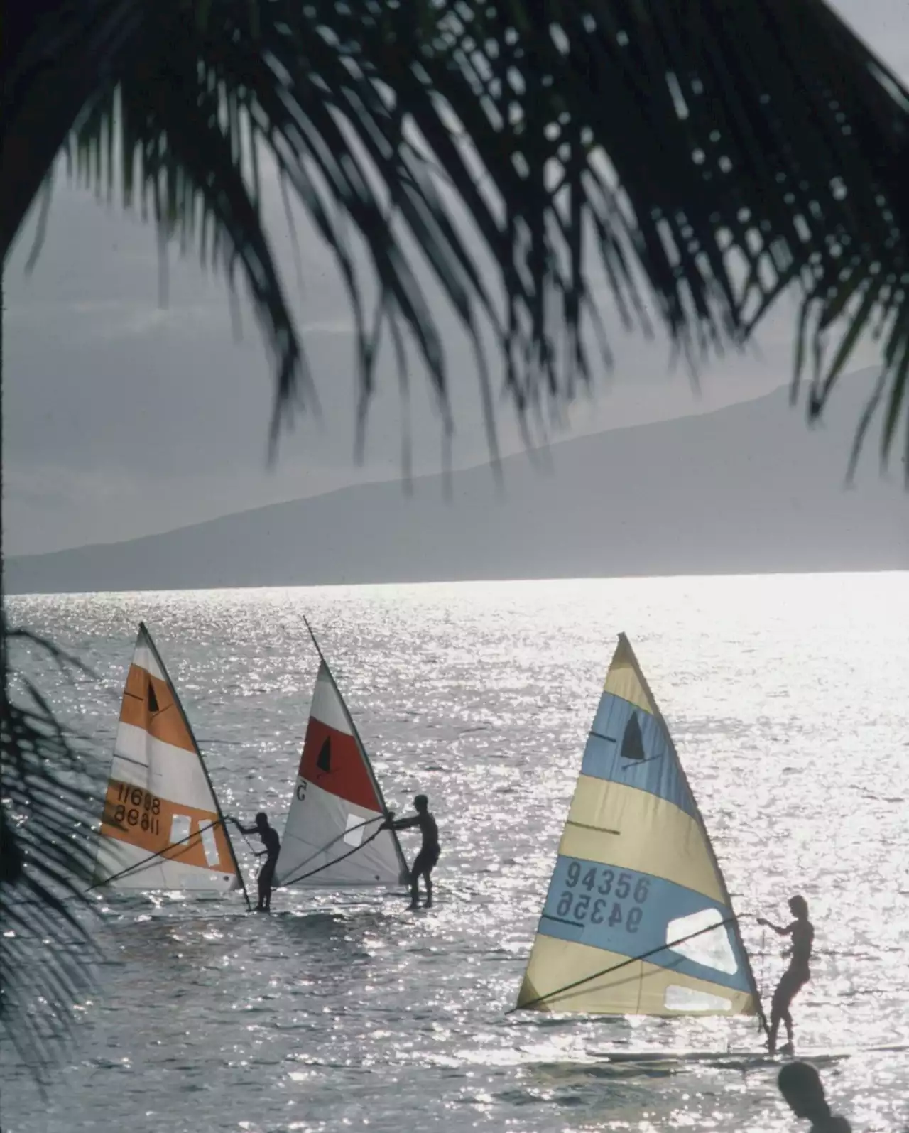 Hawaii on the Verge of Statehood: Color Photos, 1959