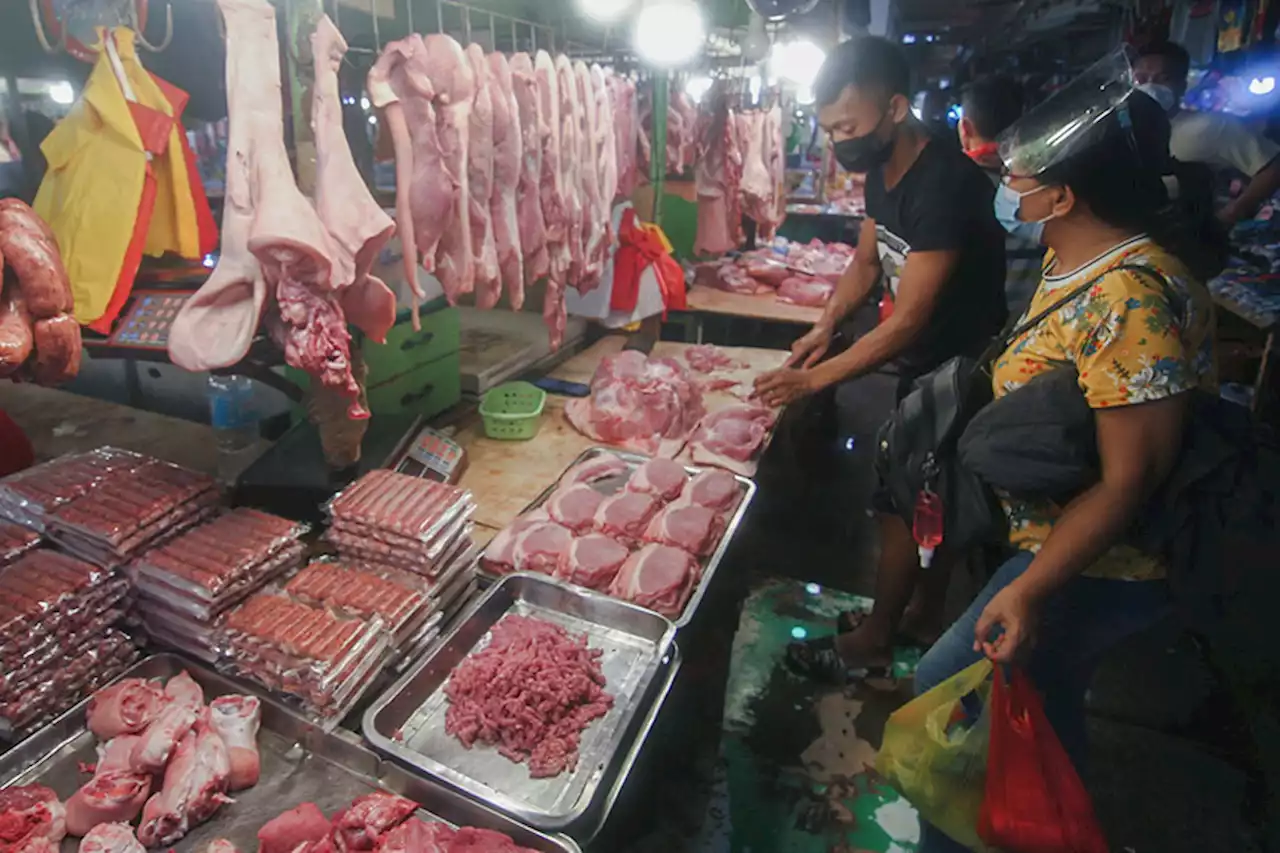 Pig from South Cotabato butchered in Davao City yields ASF