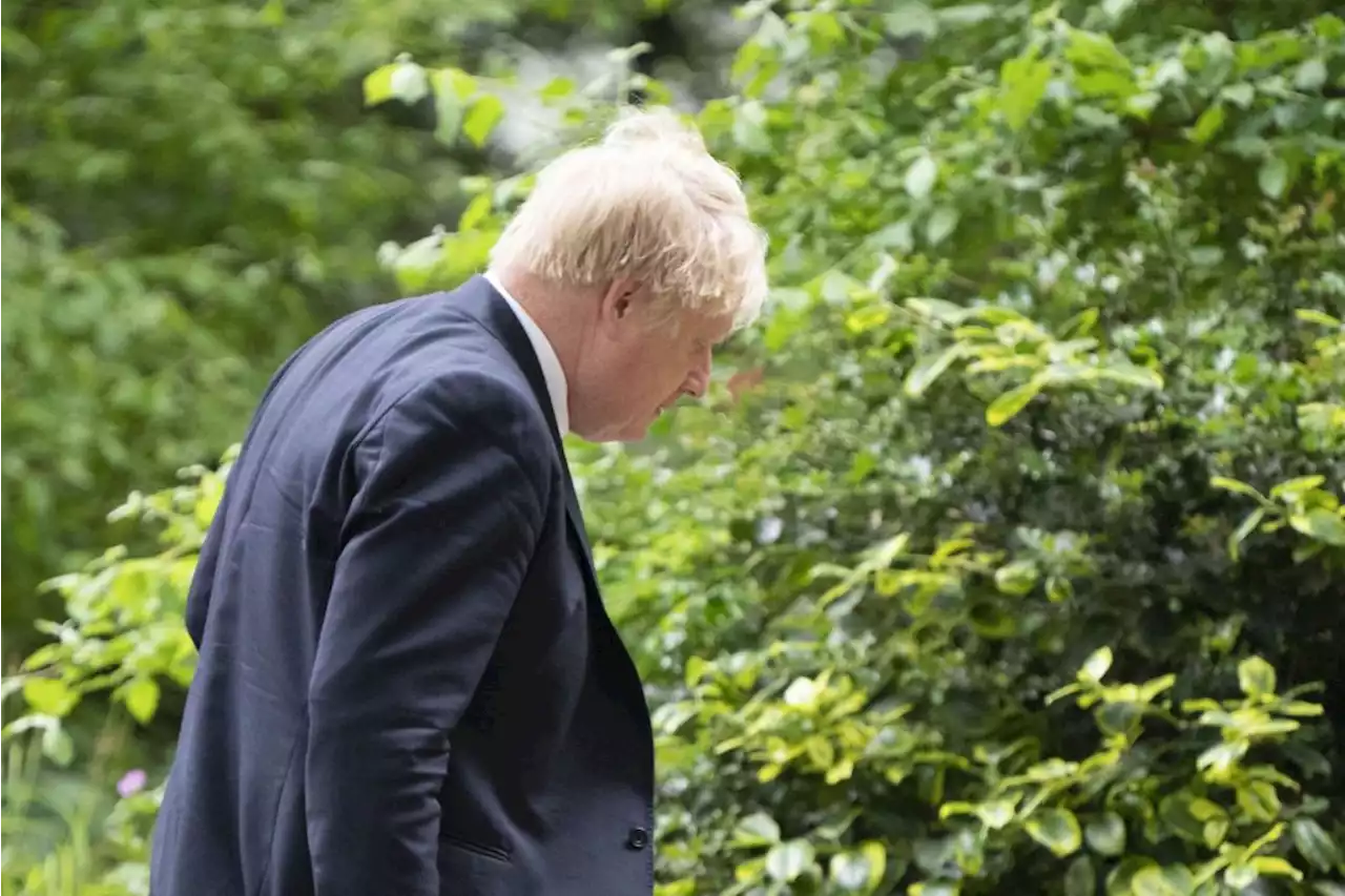 Who could succeed Boris Johnson?