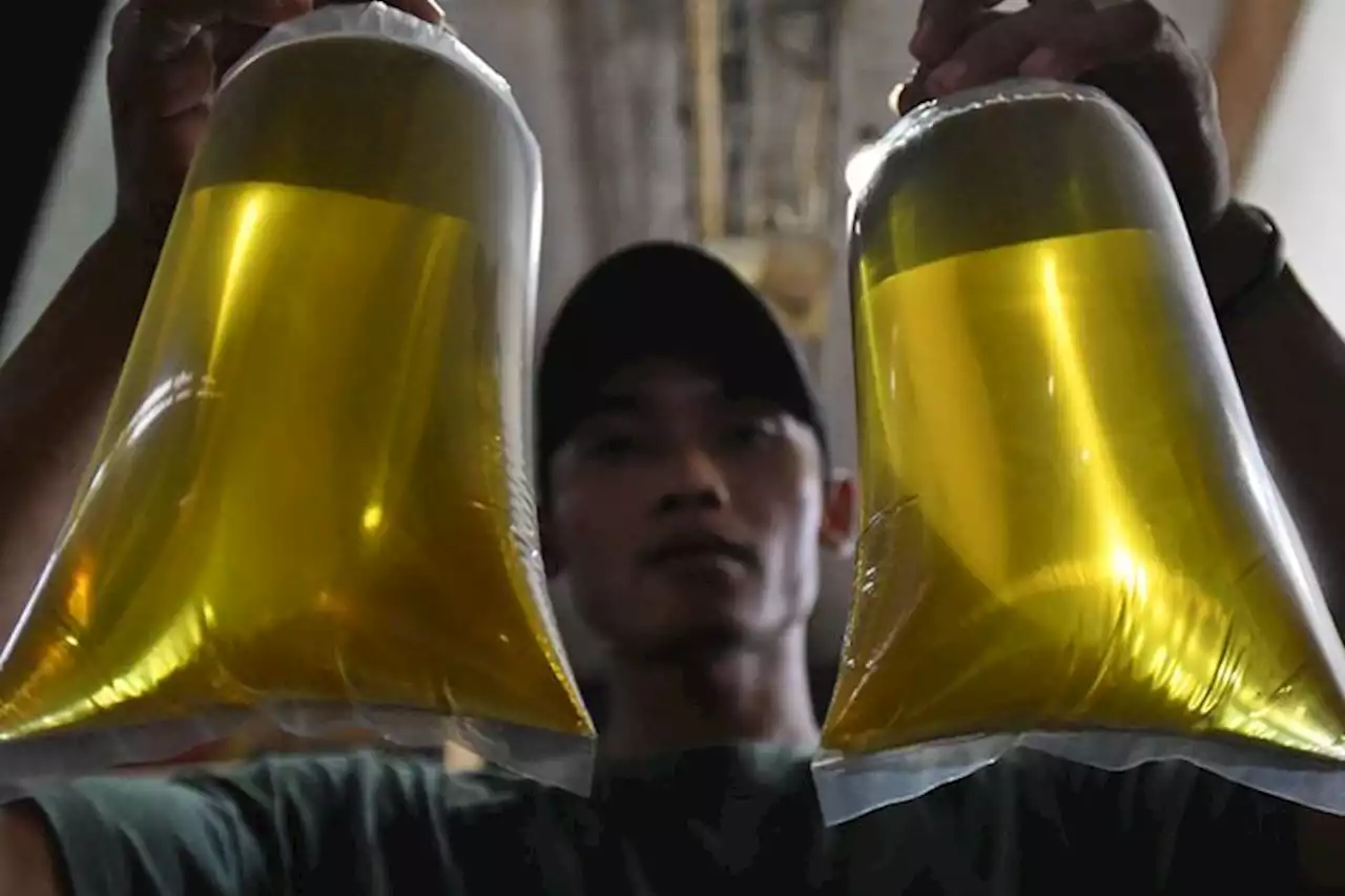 Luncurkan Minyak Goreng Harga Rp14.000 per Liter, Zulkifli Hasan Akui Distribusi Minyak Masih Perlu Dibenahi - Pikiran-Rakyat.com