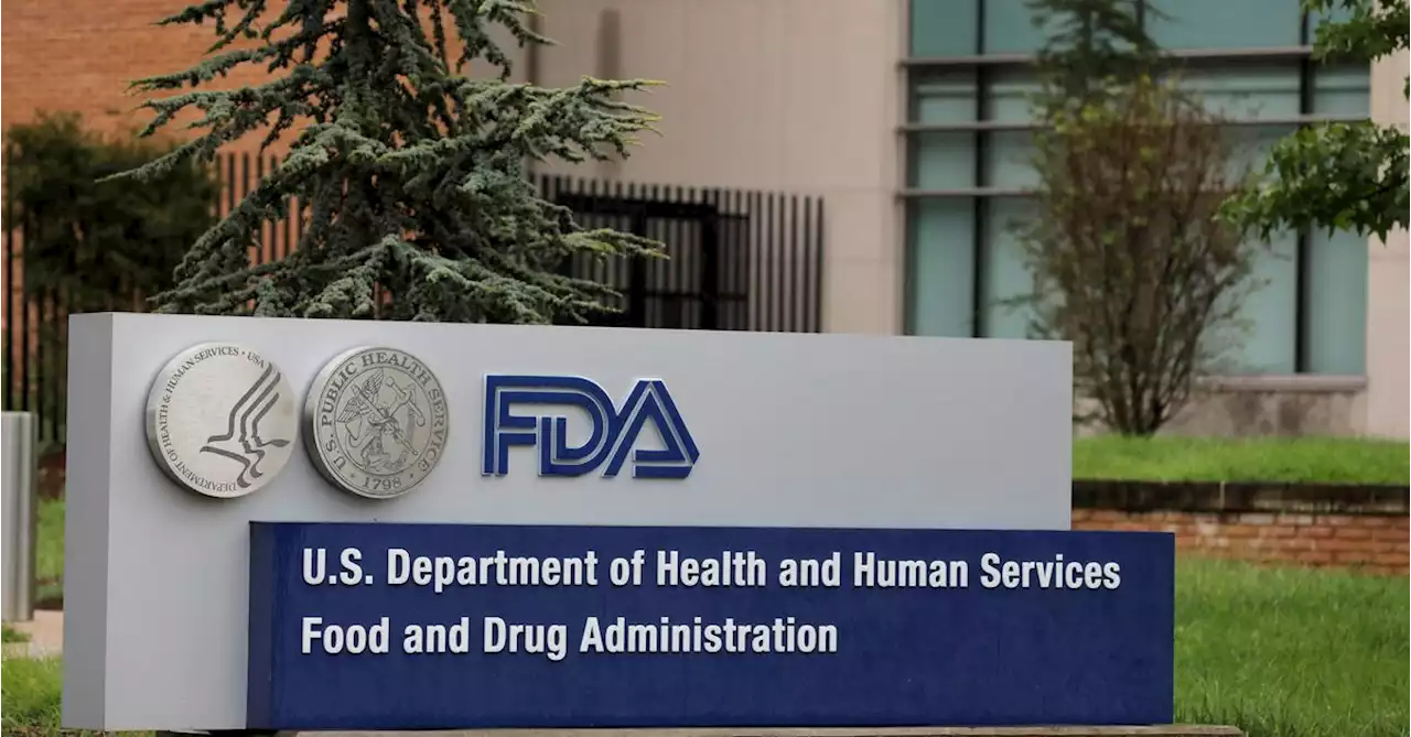 FDA decision on Eisai, Biogen Alzheimer's drug due in January